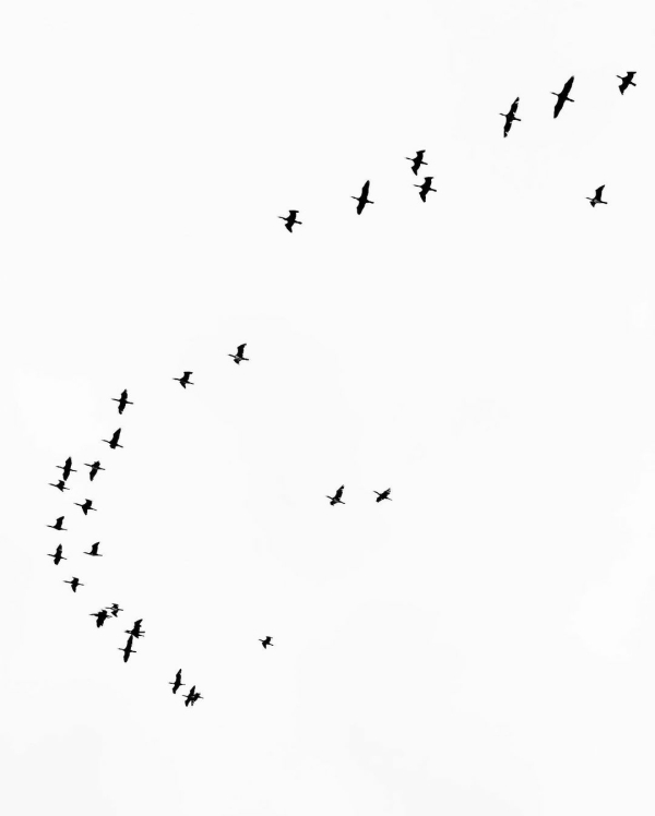 5 (не) стыдных вопросов о свадьбе