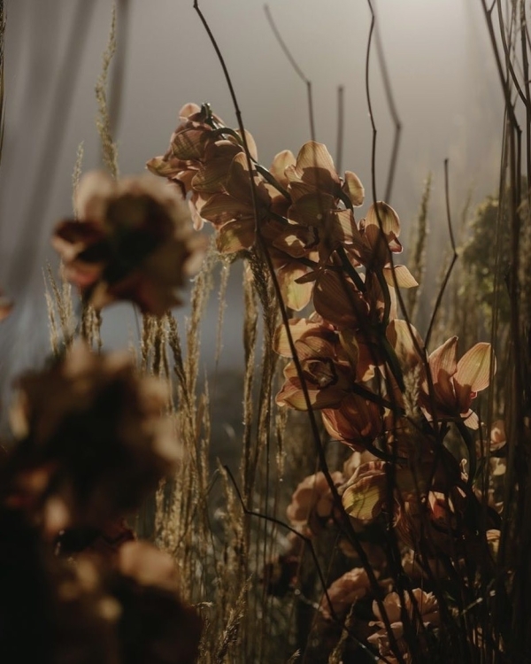 Лучшие свадебные агентства Москвы 2023