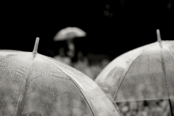 Свадебная церемония в Грузии с видом на