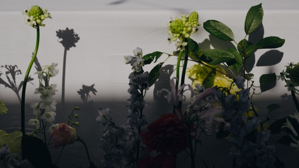 Свадьба среди виноградников в грузинском отеле Vazisubani