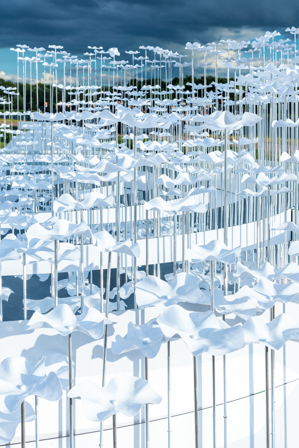 Декораторы Lid’s Eventhouse