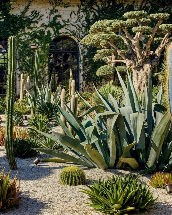 3 эксклюзивных сценария свадебного уик-энда в Турции