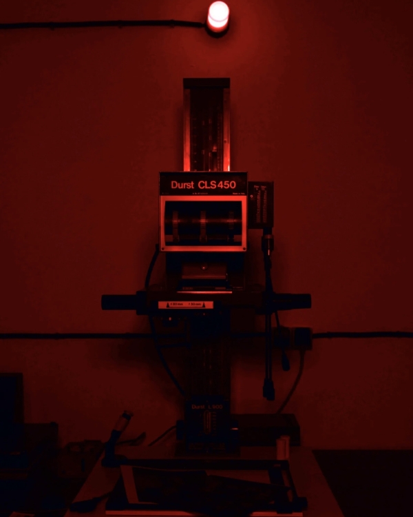 Январский «Китч», цветки цукини в EVA и