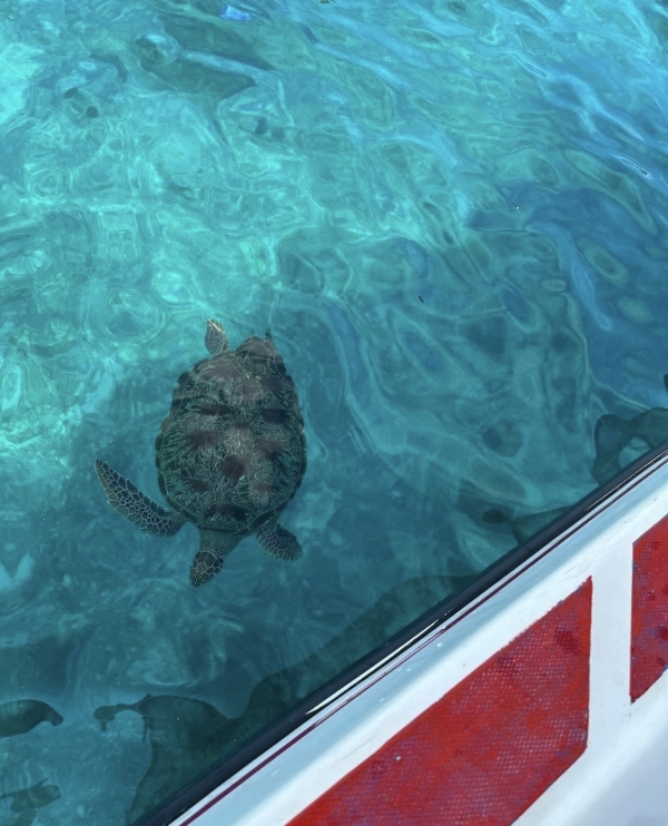 Just married: пляжные направления для медового месяца