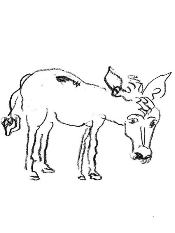 Культурная Москва: актуальные выставки января 2024