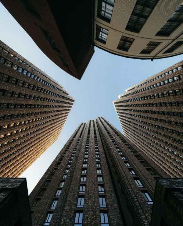 Культурная Москва: актуальные выставки января 2024