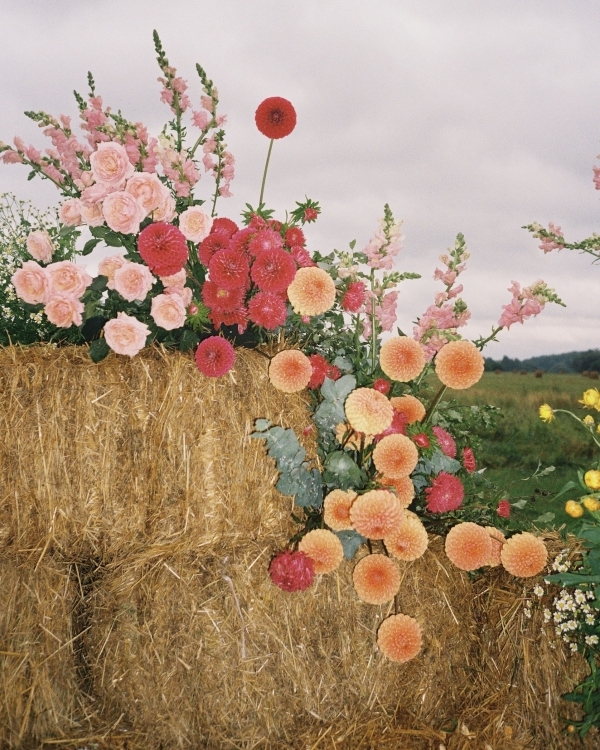 Лучшие свадебные агентства Москвы 2024