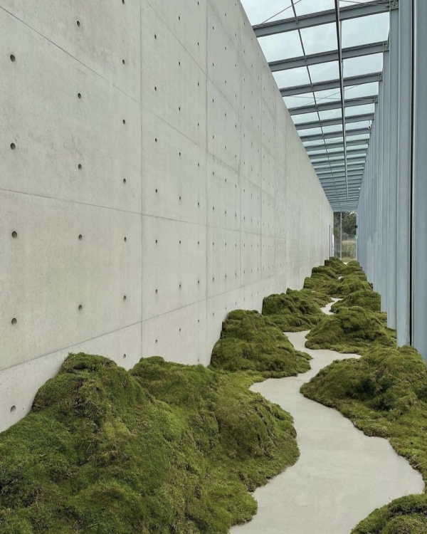 Больше, чем свадьбы. Зачем невесте 2024 наш