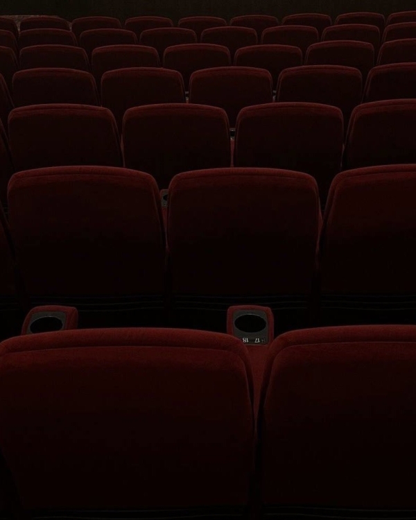 Увидимся в кино! 8 кинотеатров с богемной