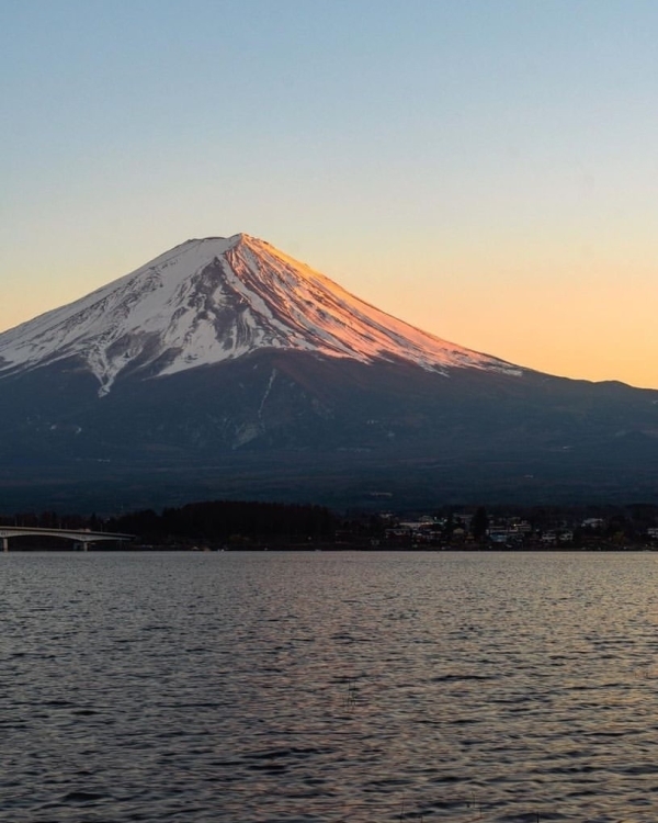 I am my own best company. Куда