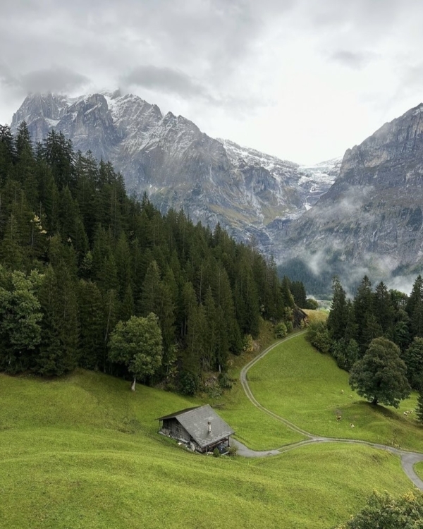 I am my own best company. Куда