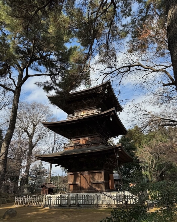 I am my own best company. Куда