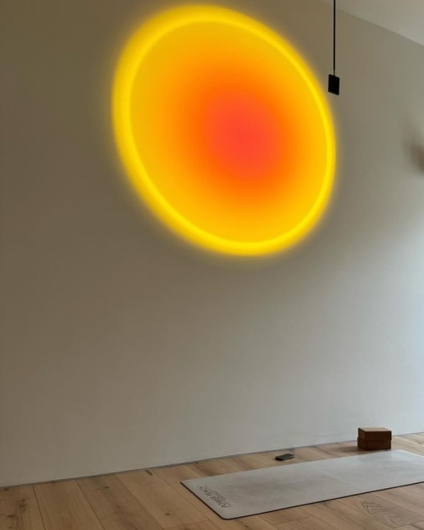 Собака мордой вверх: где практиковать йогу в