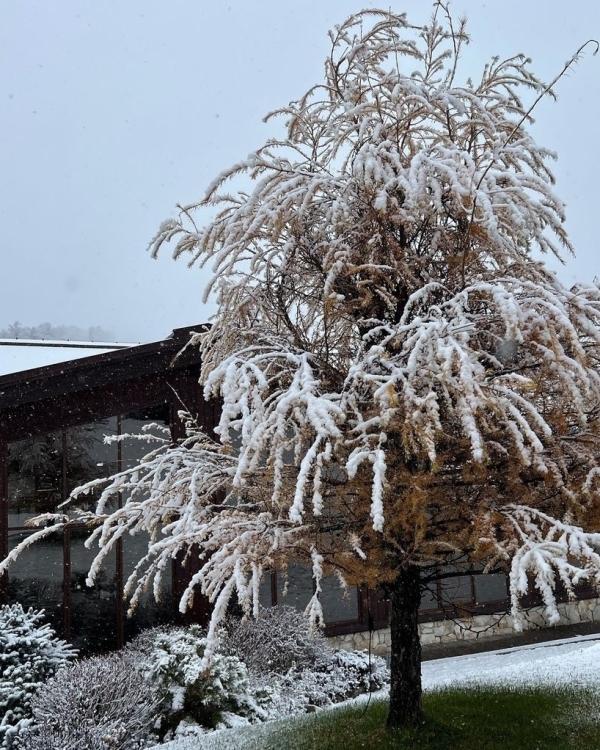 Как рукой сняло: 8 способов зарядить себя