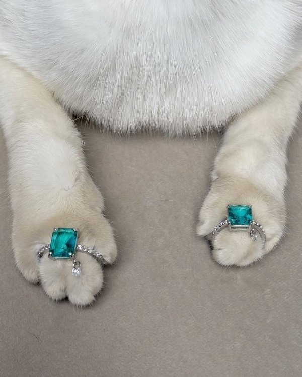 Суженый-ряженый, приди! Вот 8 интересных (и простых)