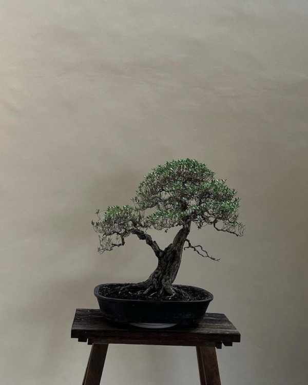 Суженый-ряженый, приди! Вот 8 интересных (и простых)