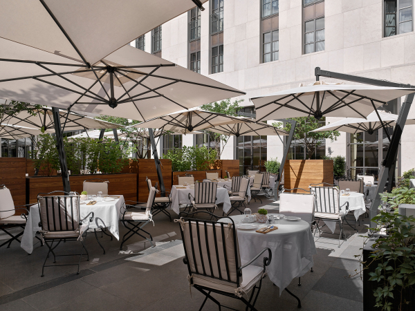 Площадки Stella di Mosca