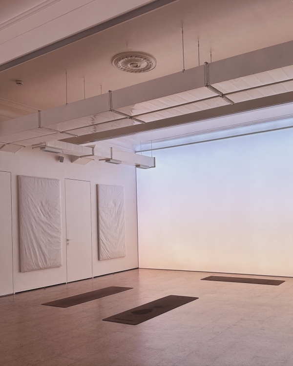 Собака мордой вверх: где практиковать йогу в