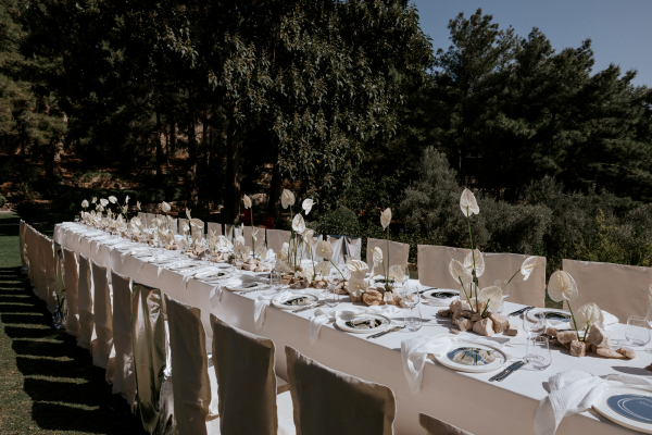 Агентства CELEBRATE IT