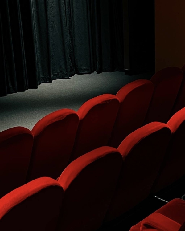 Увидимся в кино! 8 кинотеатров с богемной