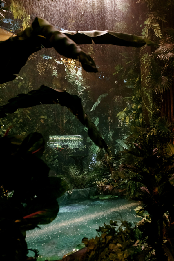 Декораторы Анна Бурцева