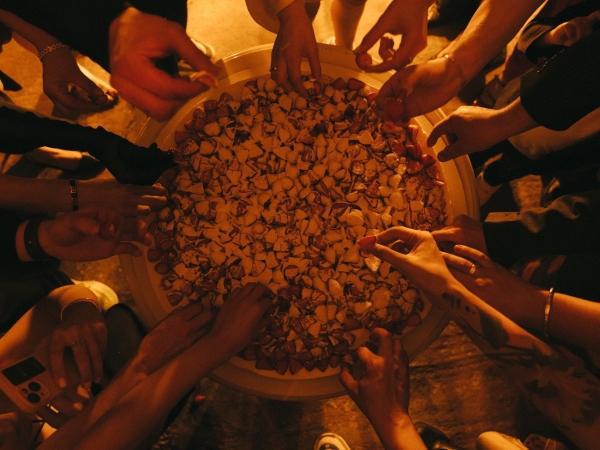 Агентства Don't panic bride