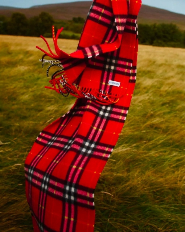 Возвращаем клетку в гардероб. Вот вещи, которые