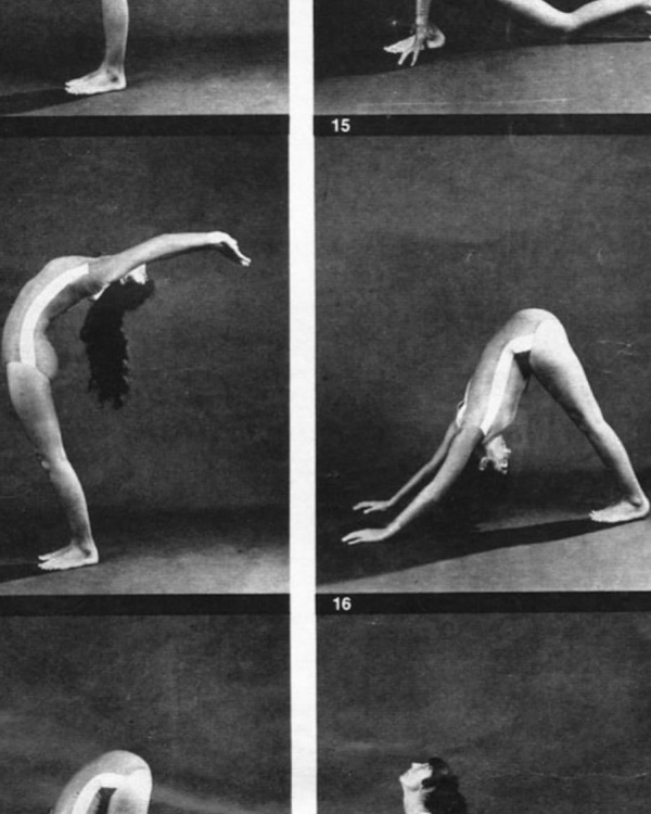 Собака мордой вверх: где практиковать йогу в