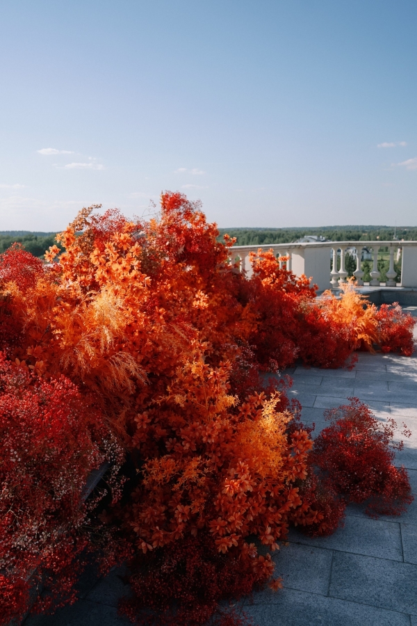 Декораторы Илона Бильчук