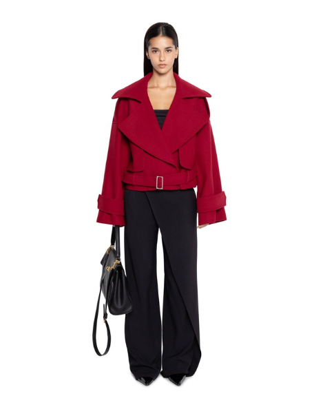 Встречаем Китайский Новый год или Праздник весны.