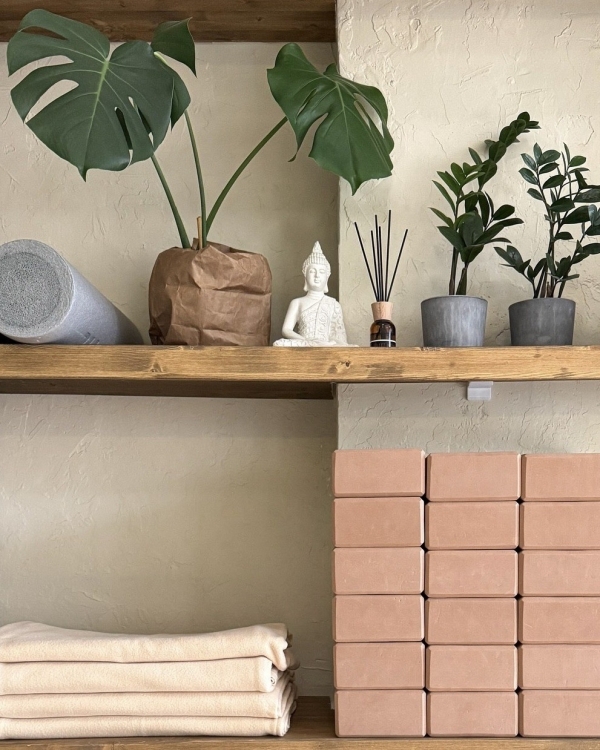 Собака мордой вверх: где практиковать йогу в