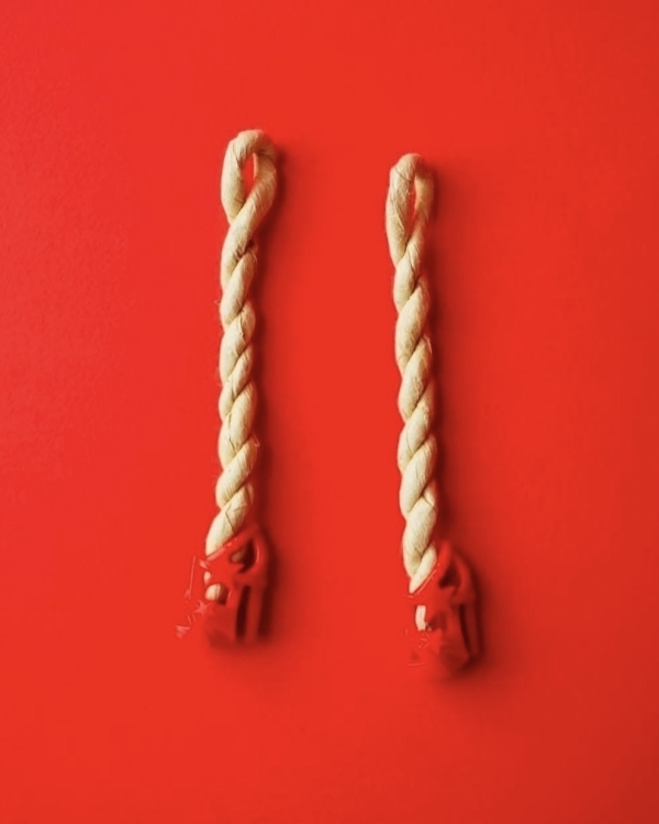 Встречаем Китайский Новый год или Праздник весны.