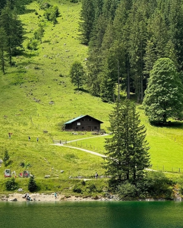 I am my own best company. Куда