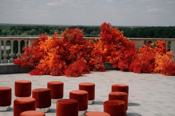 Декораторы Илона Бильчук