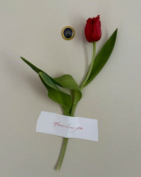 Как отметить 14 февраля в отеле? Романтические