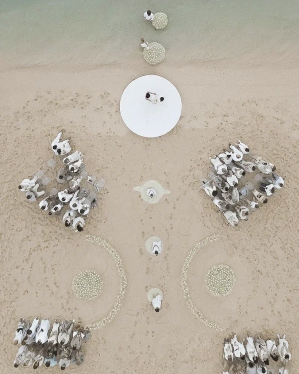 Лучшие свадебные агентства Москвы и Петербурга 2026,