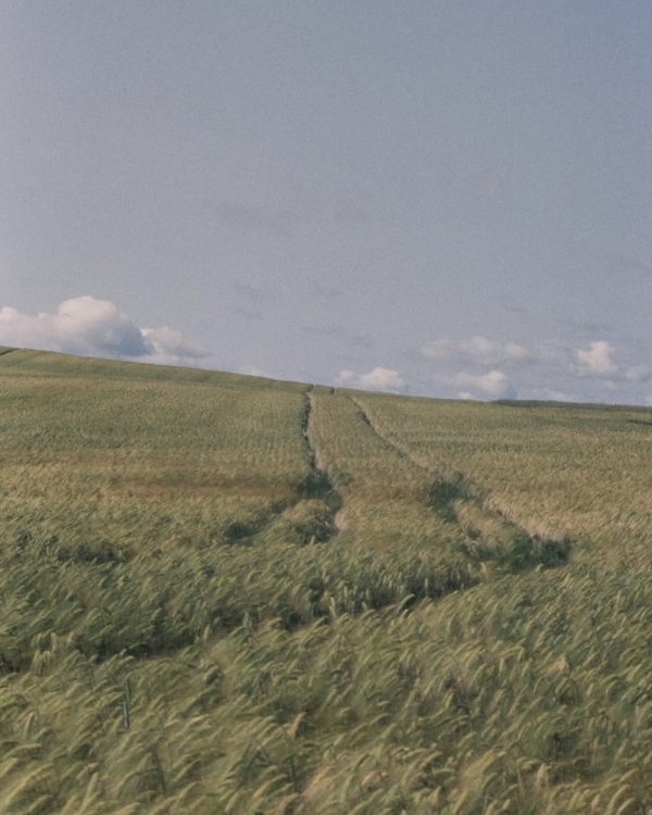 100+ фото для карты желаний