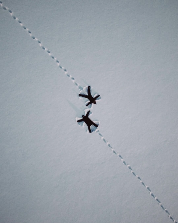 100+ фото для карты желаний