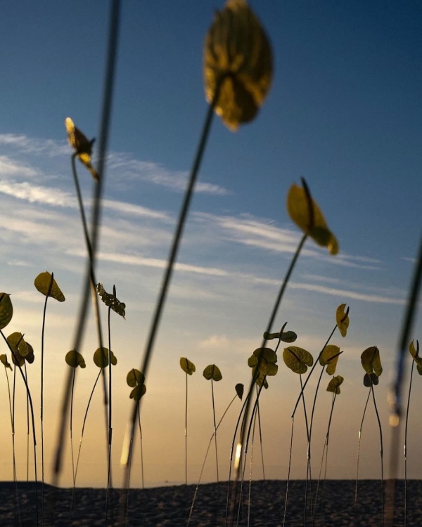 Свадебные декораторы из России, которых знают во