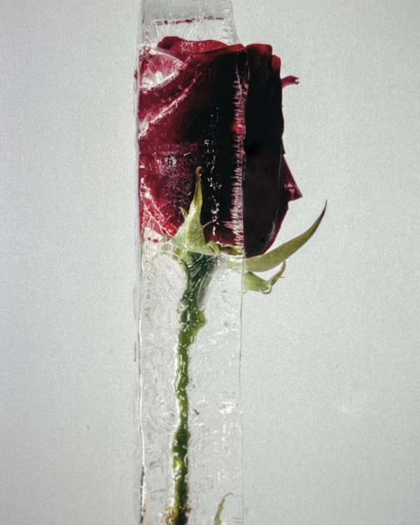 Откажитесь от этого в 2026 году, чтобы