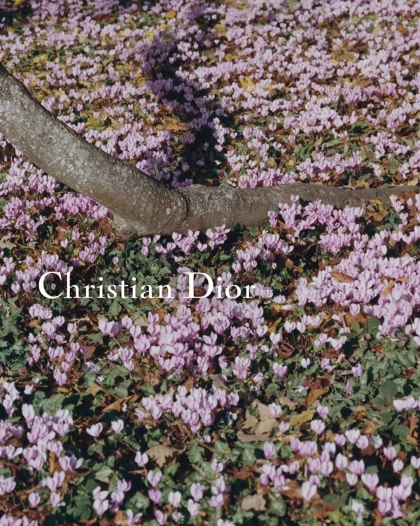 Невестам обязательно нужно увидеть новую кутюрную коллекцию