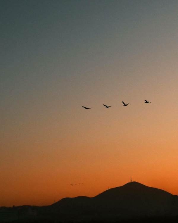 Сезон Водолея: что это значит для каждого