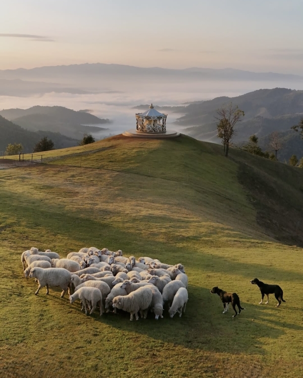 100+ фото для карты желаний