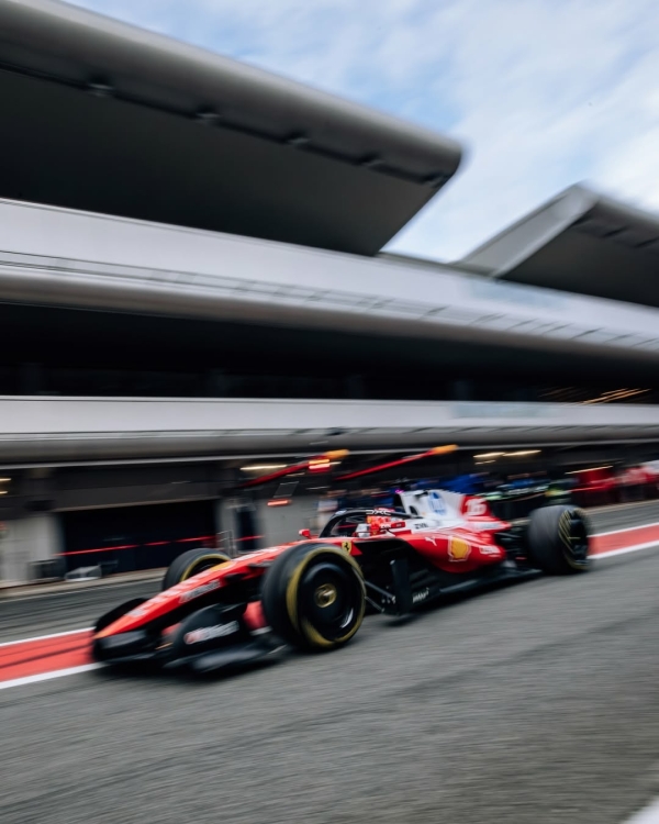 Где случайно встретить мужа-миллионера в 2026 году?