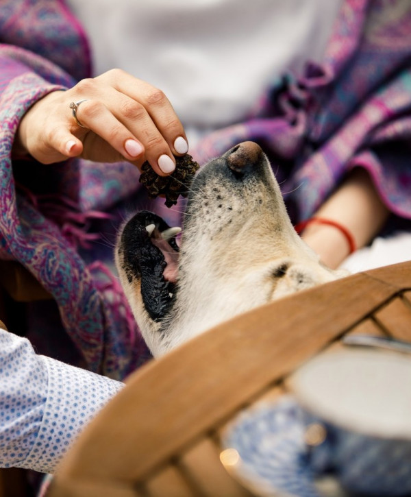 Cамая уютная предсвадебная съемка