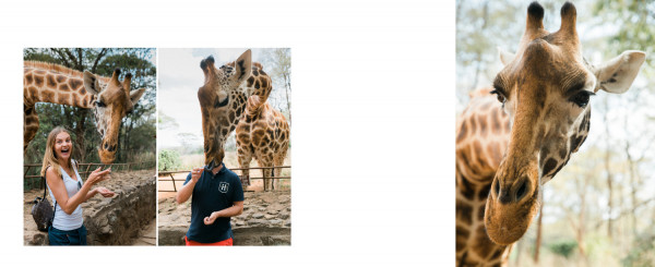 Медовый месяц в отеле Giraffe Manor