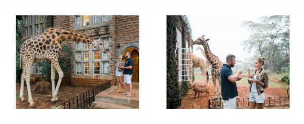 Медовый месяц в отеле Giraffe Manor