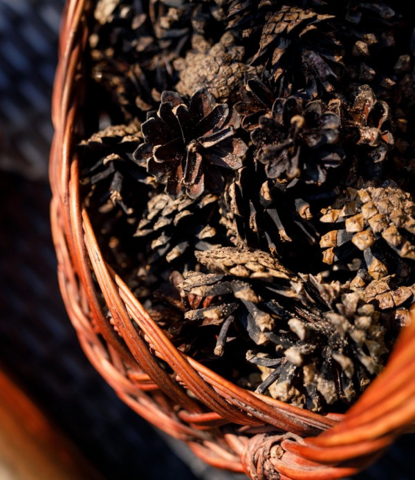 Cамая уютная предсвадебная съемка