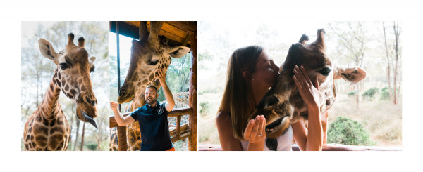 Медовый месяц в отеле Giraffe Manor