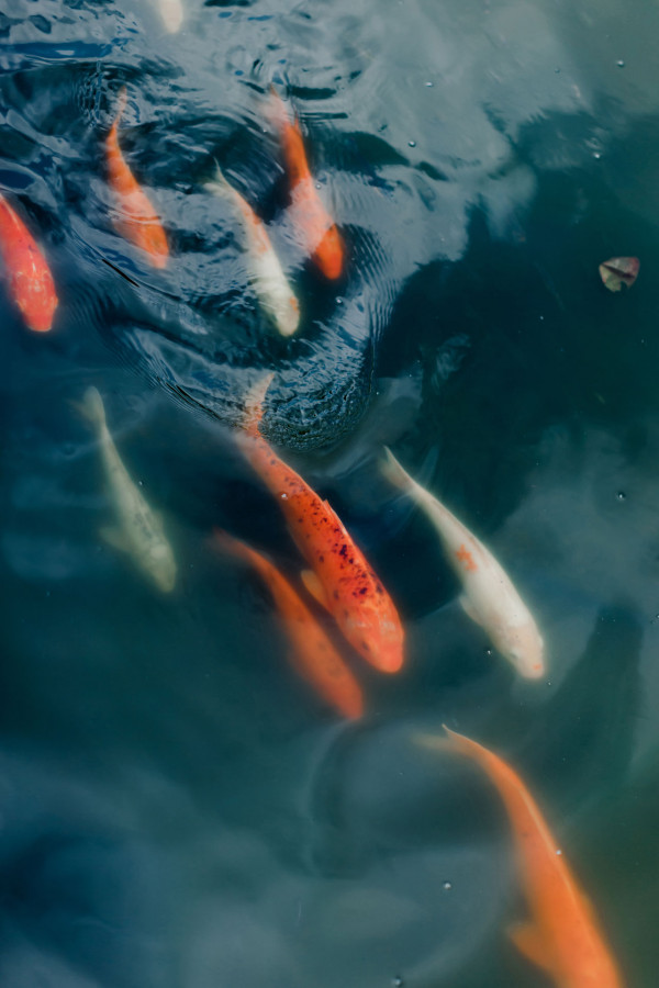 Cвадьба на острове Бали